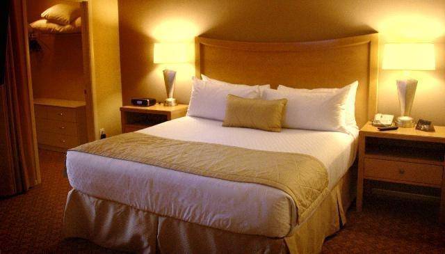 Desert Paradise Resort, Las Vegas